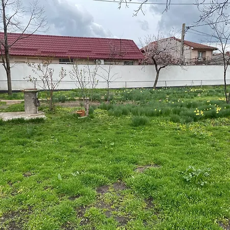 Lad Petite Maison Craiova