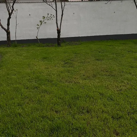 Lad Petite Maison - Free Privat Parking -