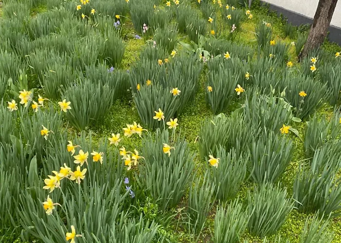 Lägenhet Lad Petite Maison