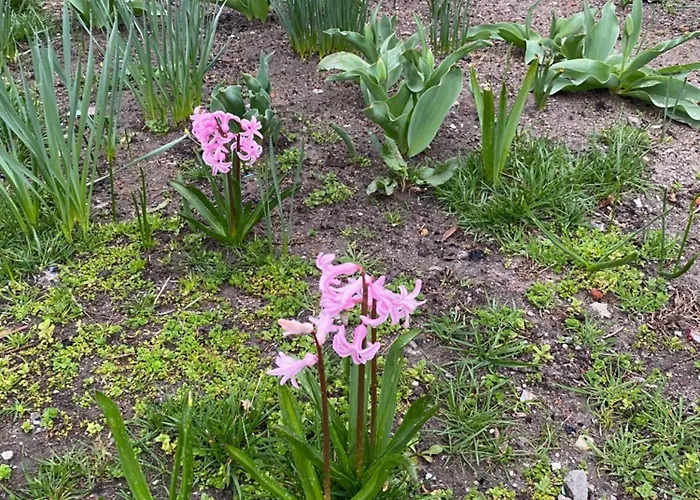 Lad Petite Maison Lägenhet *